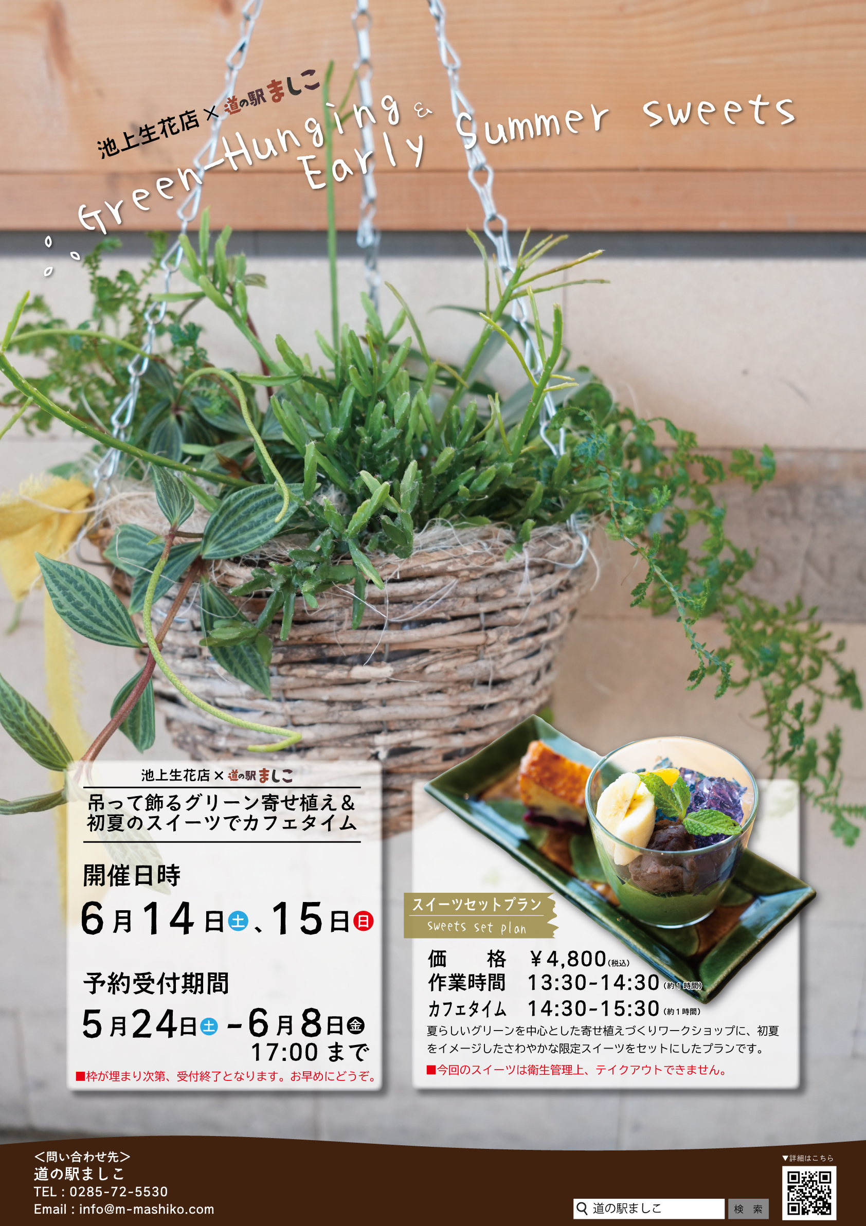 グリーンの寄せ植え